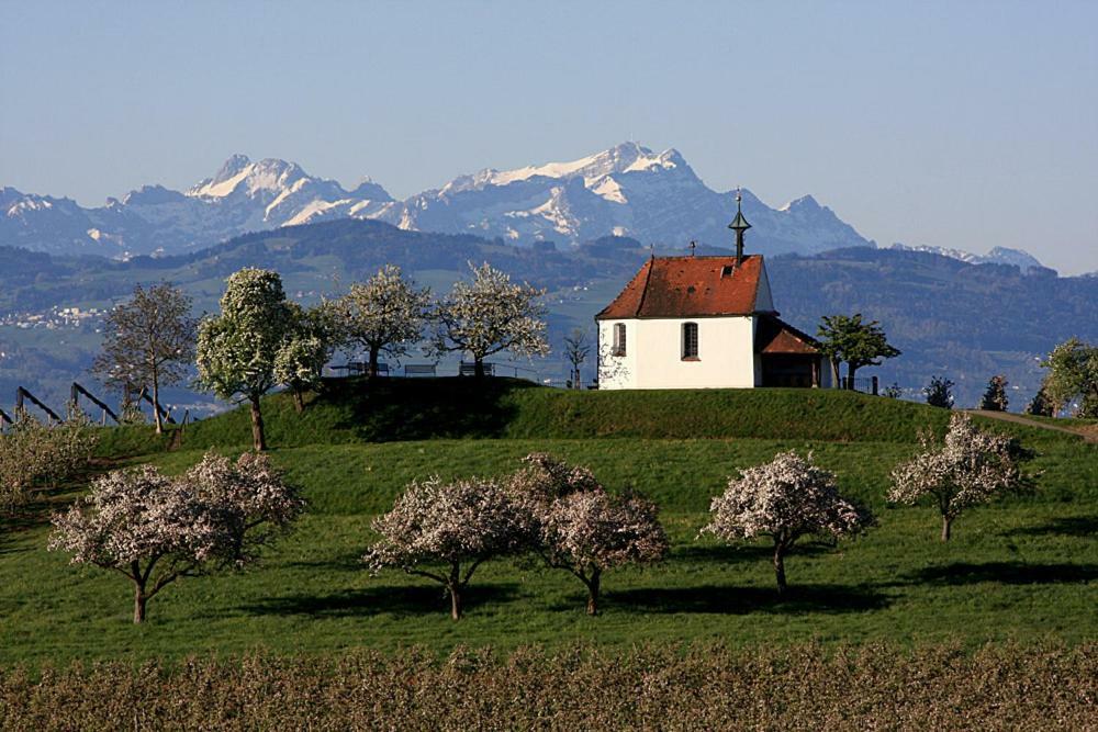 Zum Seglerhafen - Ferienappartement Kressbronn am Bodensee Exteriér fotografie